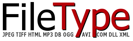 FileType Logo
